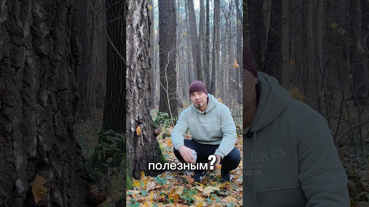 Берёзовый сок в ноябре