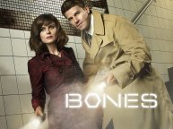 Кости - сезон 9 серия 9 / Bones