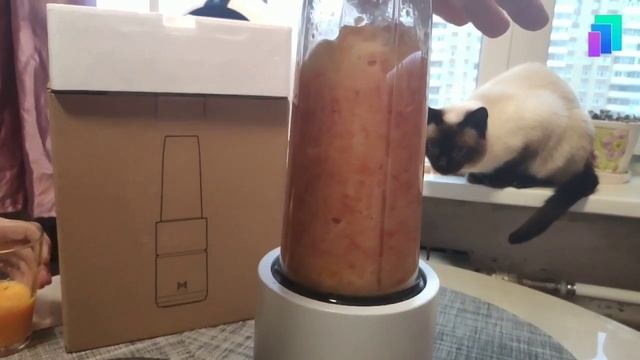 XiaoMi - Pinlo - маленький, но очень удаленький блендер, соковыжималка