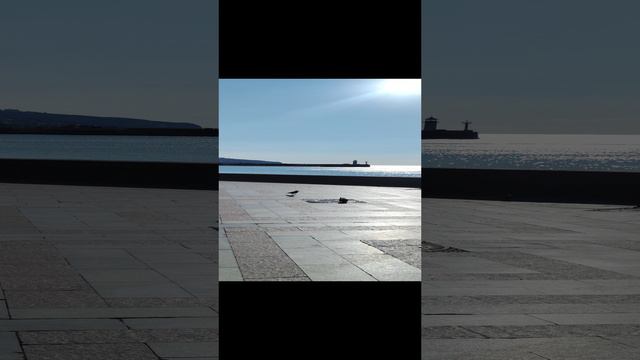Ялта набережная