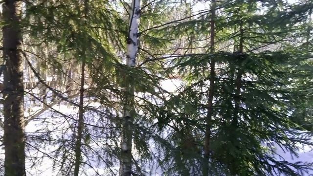 весна даёт свой металл