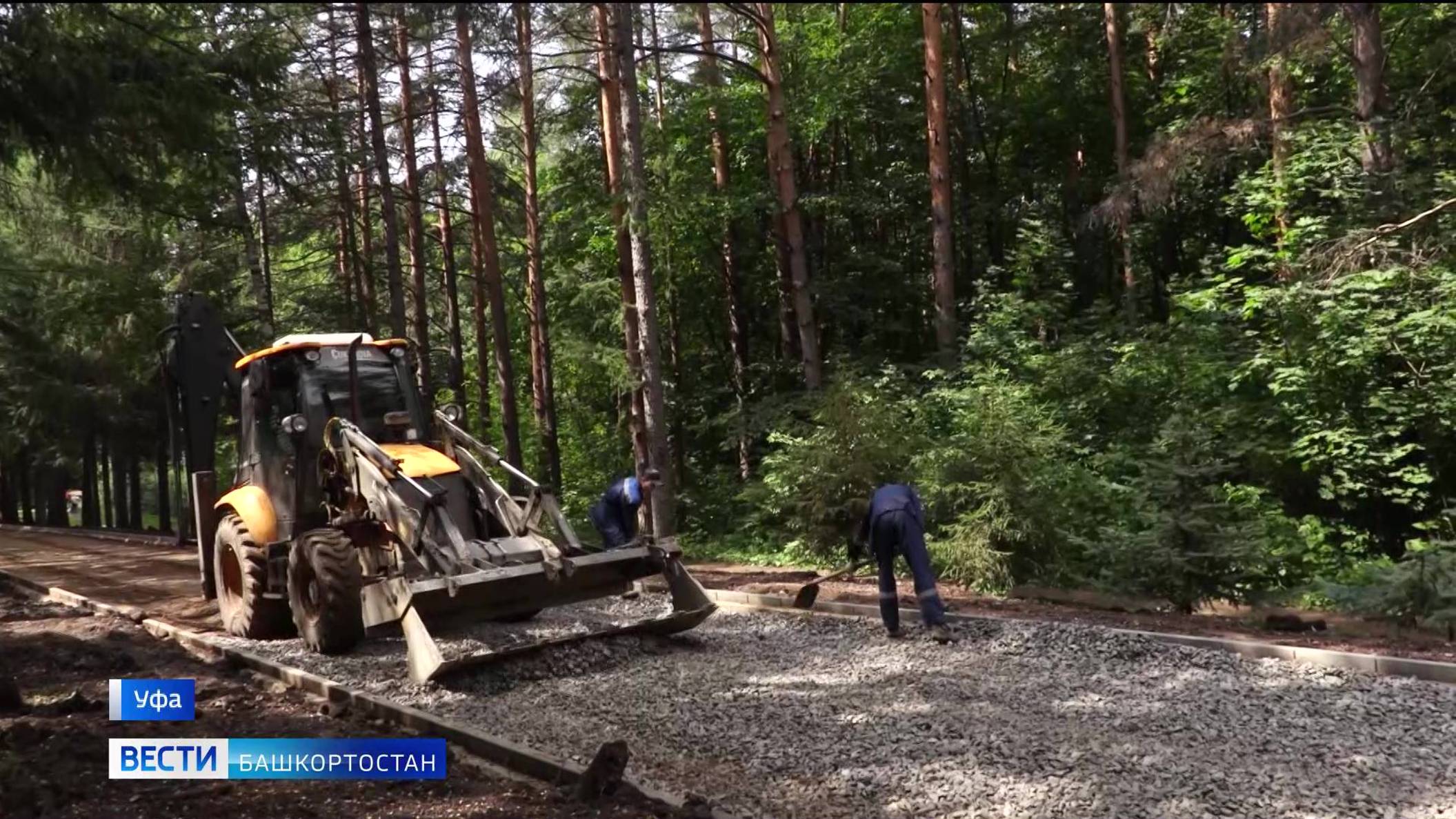 «Вести» узнали, как проходит реконструкция лесопарка имени Лесоводов в Уфе