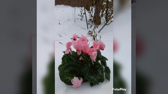 ВСЕМ ДОБРЫЙ-ДОБРЫЙ ВЕЧЕР!#тамараушакова