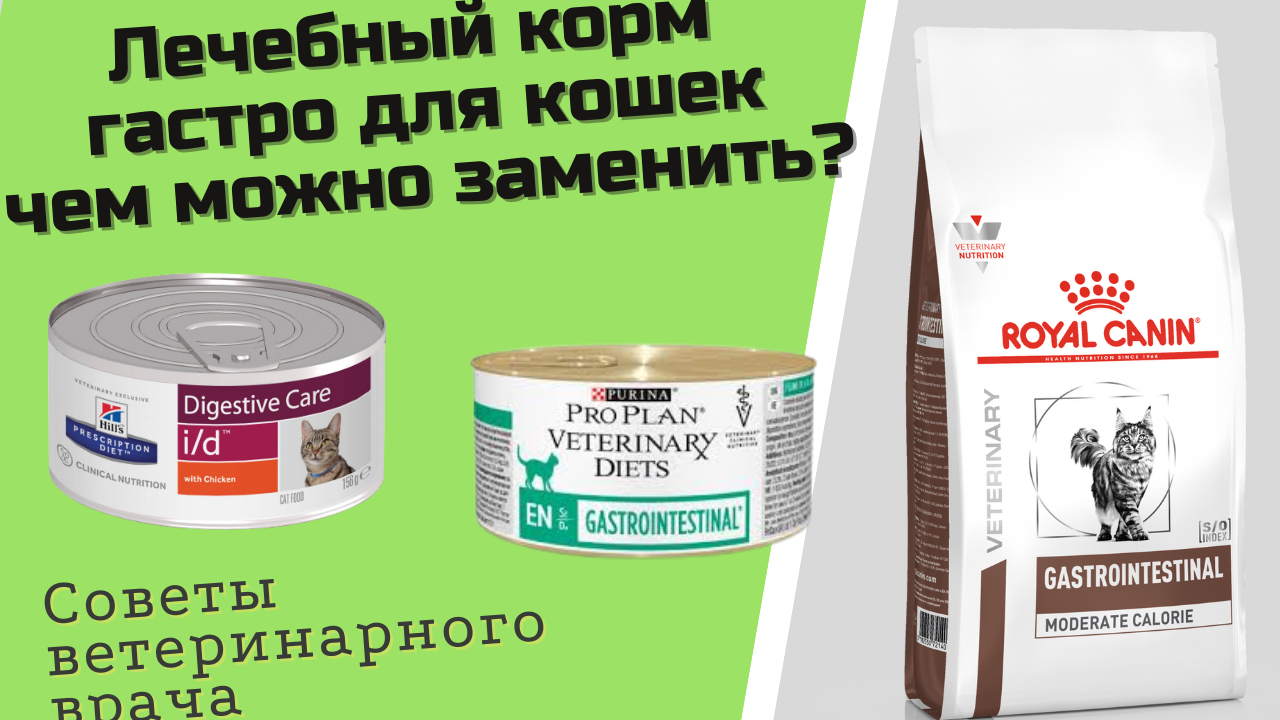 GASTROINTESTINAL корма для кошек