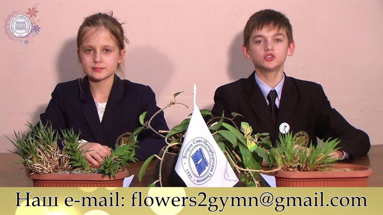 Новости Выпуск №3 1 декабря 2015