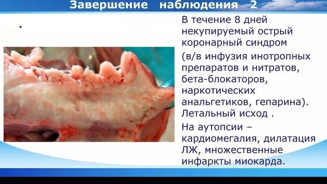 Школа клинического мышления педиатра.