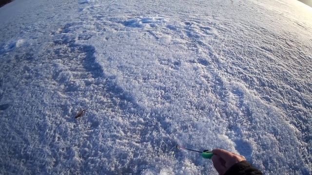 Вечерняя рыбалка на Зенковском пруду.