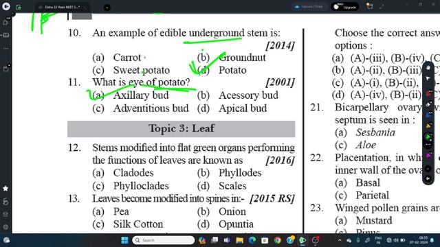 PYQS 2.0 || BIOLOGY || Morphology in flowering plants || Class -11th