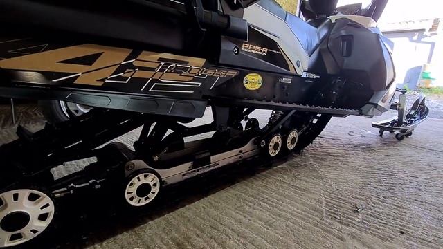 11 июня 2023 г.