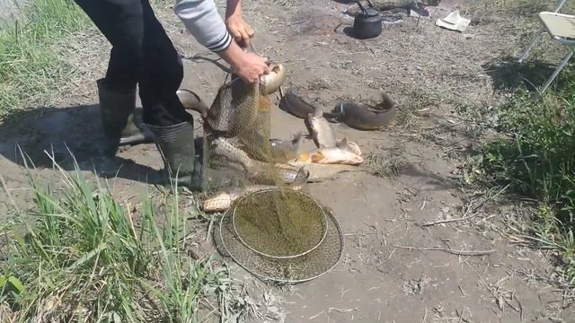 РЫБАЛКА КОЧУБЕЙ. 05.05.2017 г.