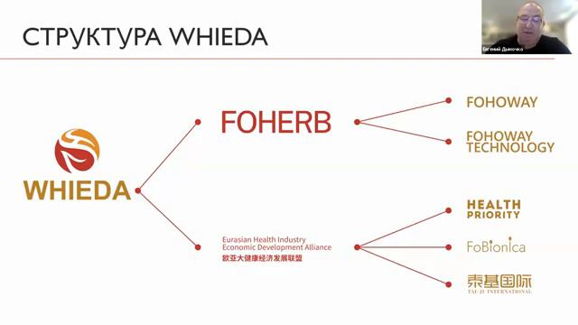 WHIEDA История развития компании