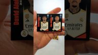 2024 Panini FIFA 365 stickers