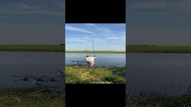 Заброс, дикий carpfishing