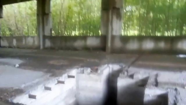 Сталк с Бродягой и Долгом #1 "Аквариум"