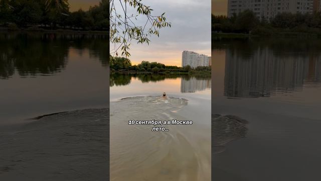 Закаляемся и будем здоровы ☀️🙌🏻