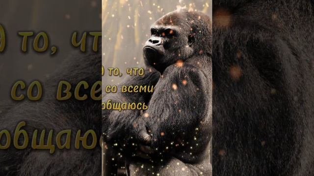 Другой не буду