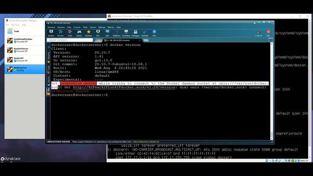 How to fix docker: Got permission denied issue