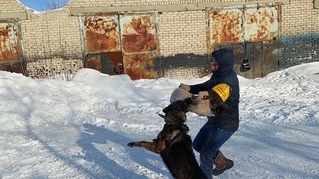 Защитный раздел с Олимпом.
