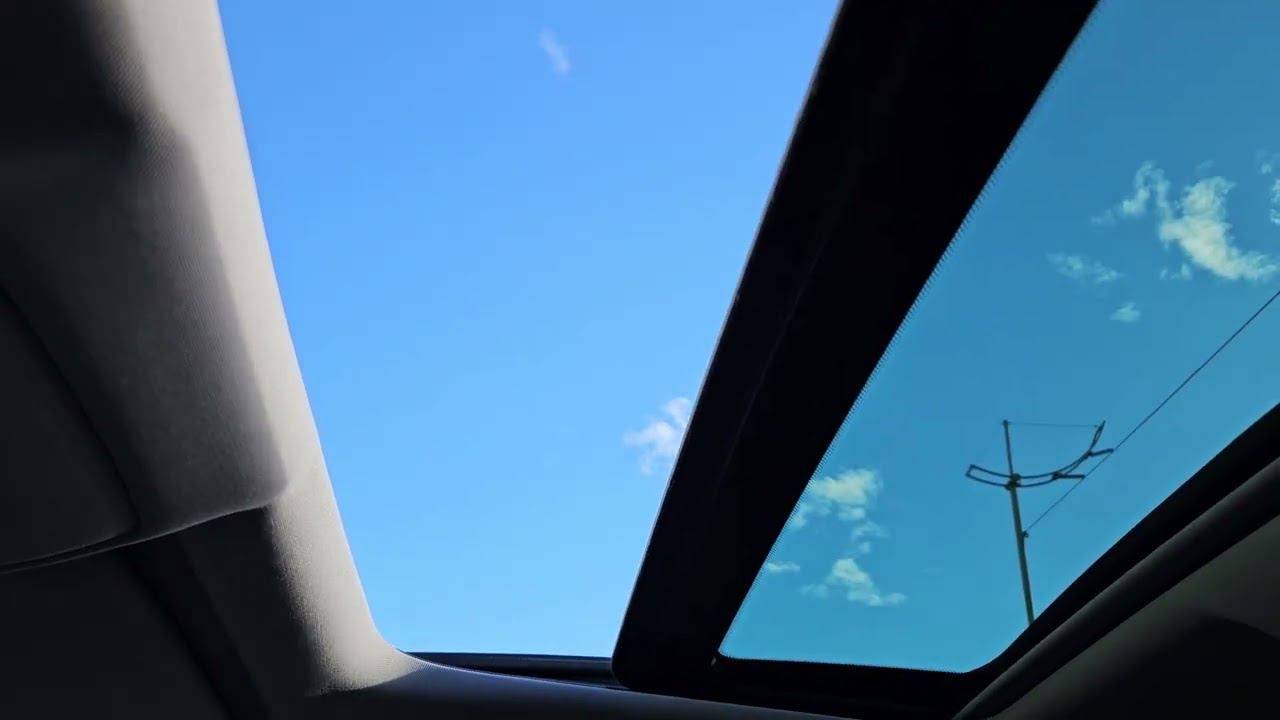 продаю второго друга