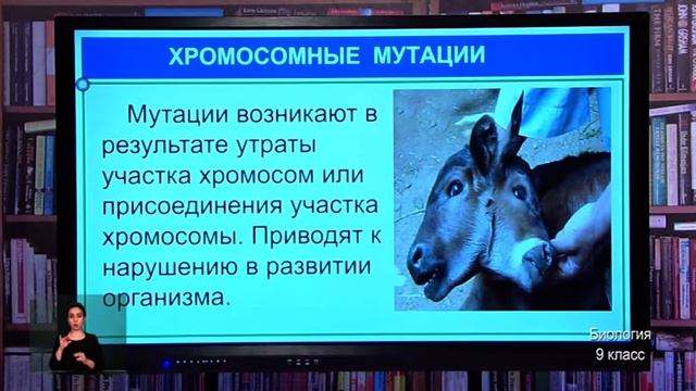 9-класс. Урок биологии. 29.04.2020 г.