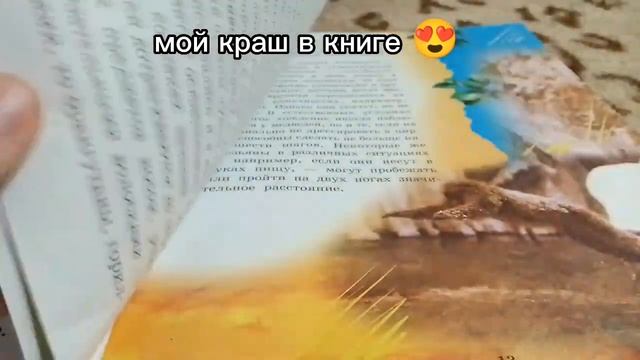 АХАХАХАХАХАХВ, ДАЖЕ МОЯ МАМА НА КОТОРЫЙ ВСЕ ПОФИГ РЖАНУЛА С ЭТО КАРТИНКИ