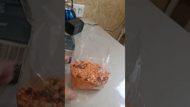 суп индийский с чечевицей