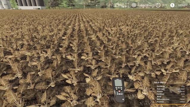 CROPS & THE MT9 - Guide to Seasons - Farming Simulator 19