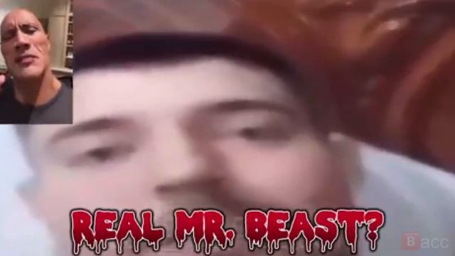 Mr. beast family