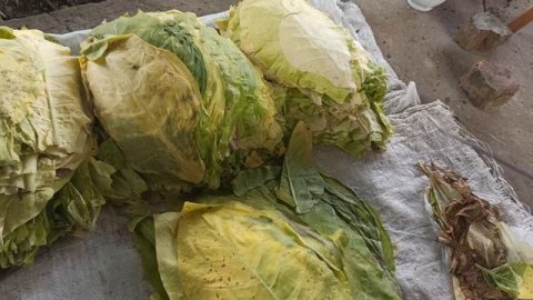 Рабочее место. 14.06.2021