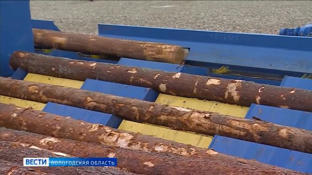 Линия сортировки пиловочника Тотемский лесхоз