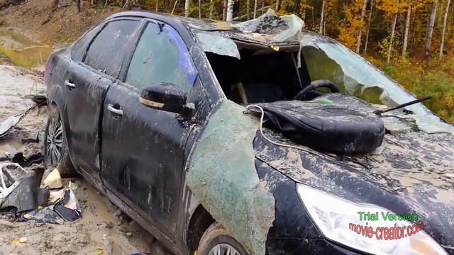 Медведь отомстил