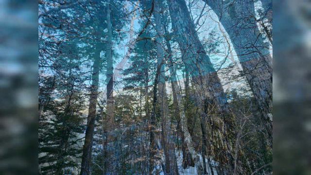 Пидан. Ливайдийская. Приморский край.