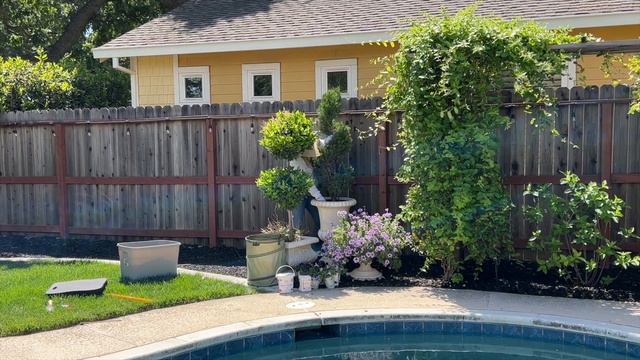 Pruning and Underplanting my Topiaries with Supertunia! :: Fertilizing with @ProvenWinnersYouTube