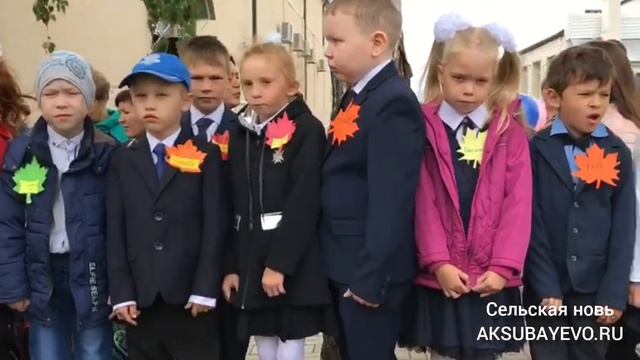 В центральном парке Аксубаева состоялся праздник «Люблю березку русскую»