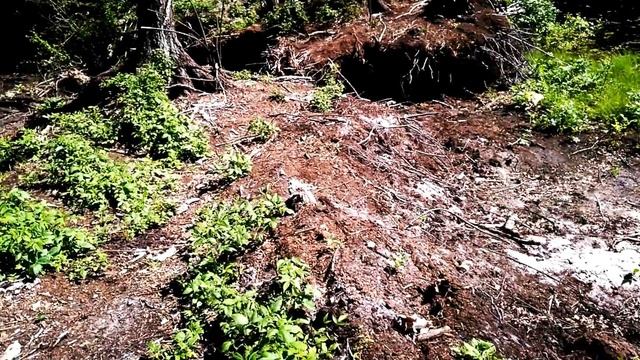 Как сделать надежный забор из дерева