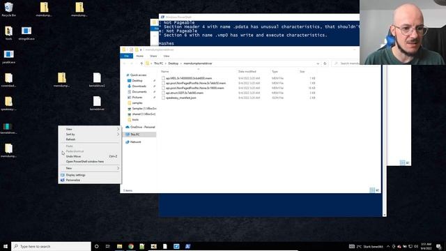 Malware Analysis - Kernel Mode Driver Emulation with Speakeasy