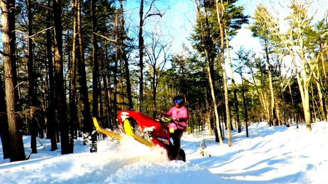 1995 Yamaha Phazer Ditchbanging MT.A