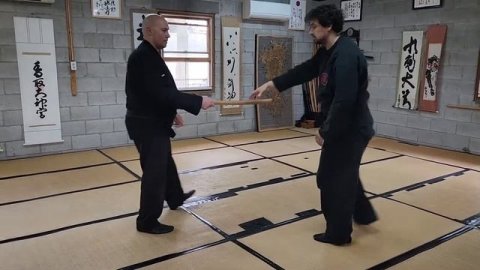 Gyokko Ryu Ko