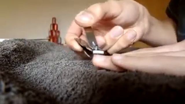 Нержавеющая сталь Nail Clipper
