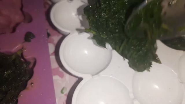 Зелень на зиму  Чтобы НЕ ТРАТИТЬСЯ зимой НА ЗЕЛЕНЬ! Мой проверенный способ!