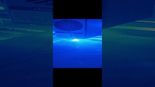 1000010688.mp4