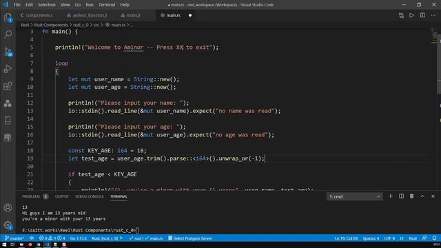 Rust Loops, Break, Continue | Rust Programming | Kovolff