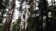 троллей от Лизы
