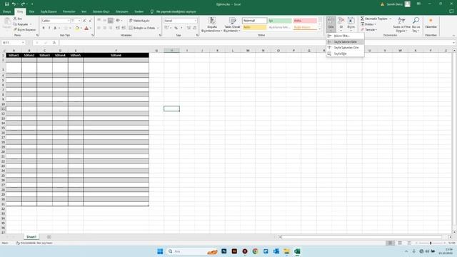 Microsoft  Excel Tablo Ayarları Eğitimi