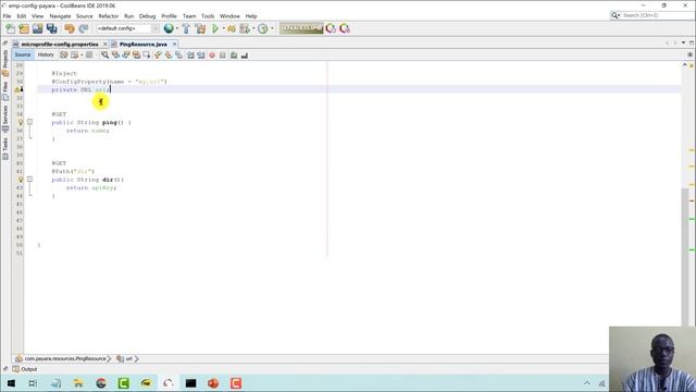 Video 8: Included Converters in Payara Platform using MicroProfile Config API
