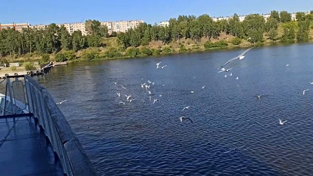 Михаил Танич.2022.07.05.Городец.отправление