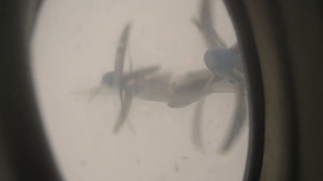 Полеты Ан-22 в сложных метеорологических условиях в Тверской области