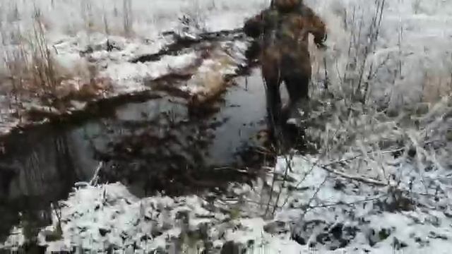 камфуз на выезде
