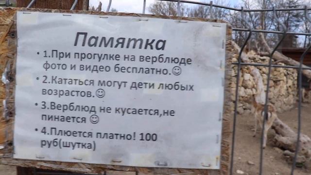 Верхом на верблюде!!!