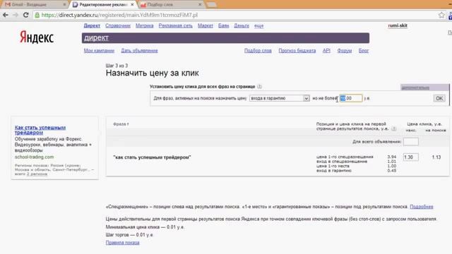 Рекламная кампания в Яндекс. Директ. Настройка.